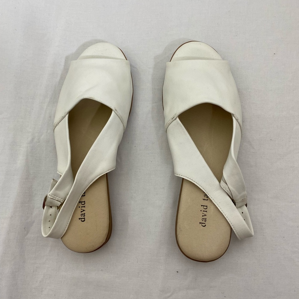 David Tate slipper